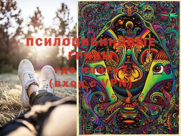 спиды Алексин