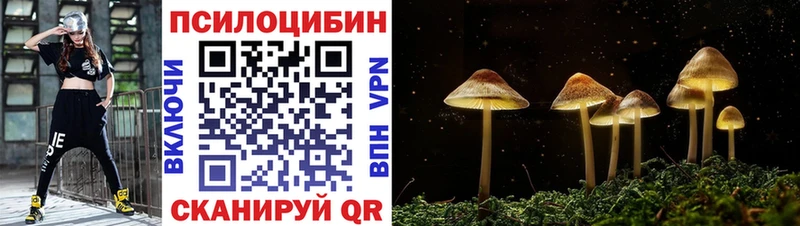 Псилоцибиновые грибы мухоморы  магазин продажи наркотиков  Брюховецкая 